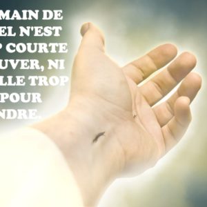 NON, SA MAIN N’EST PAS TROP COURTE POUR SAUVER, NI SON OREILLE TROP DURE POUR ENTENDRE NON, SA MAIN N’EST PAS TROP COURTE POUR SAUVER, NI SON OREILLE TROP DURE POUR ENTENDRE